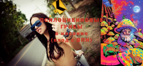 ГАЛЛЮЦИНОГЕННЫЕ ГРИБЫ Аркадак