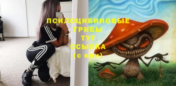mdpv Няндома