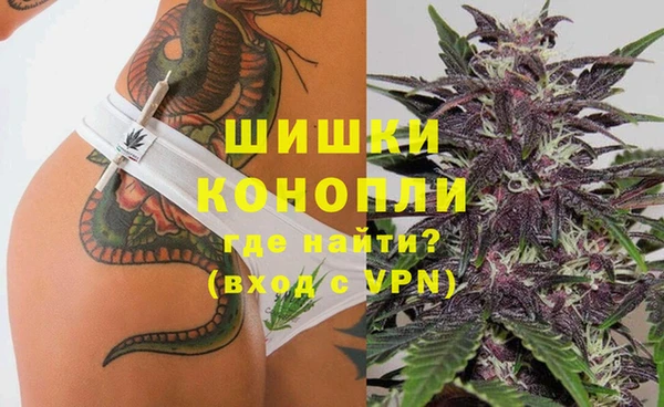 ГАЛЛЮЦИНОГЕННЫЕ ГРИБЫ Аркадак