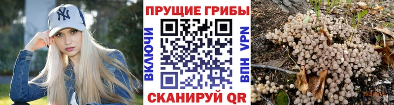 Псилоцибиновые грибы Cubensis Рыбинск