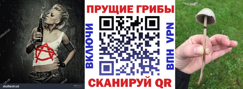 Галлюциногенные грибы ЛСД Рыбинск