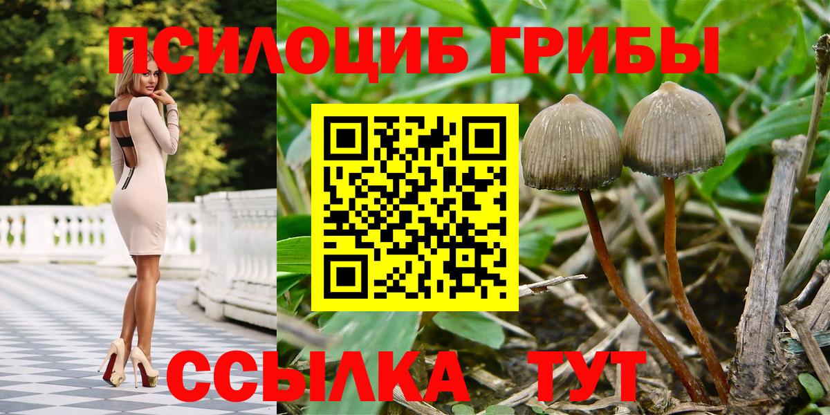 Псилоцибиновые грибы Psilocybine cubensis  Псилоцибиновые грибы мицелий  наркотики  Вход с VPN  Рыбинск 