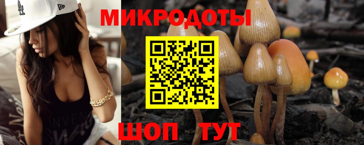 ГАШ Рыбинск